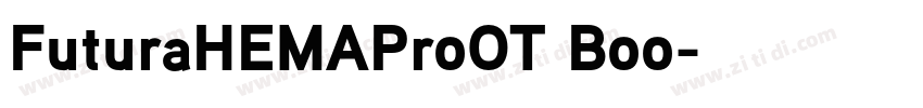 FuturaHEMAProOT Boo字体转换